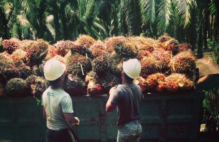 504073642 10100176683254328 8651285070480394931 n