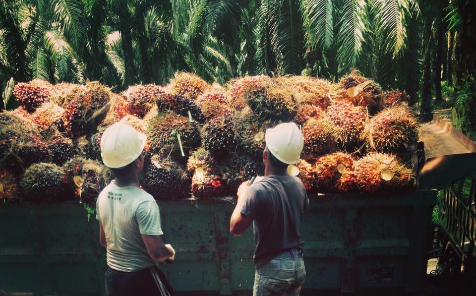 504073642 10100176683254328 8651285070480394931 n