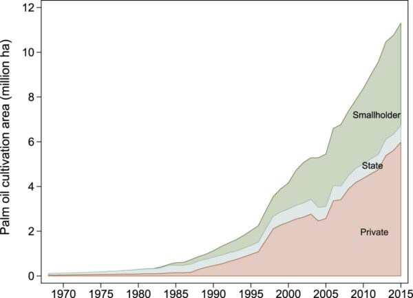 Palm oil ryan.docx image 1