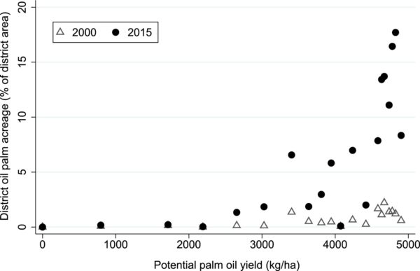 Palm oil ryan.docx image 2