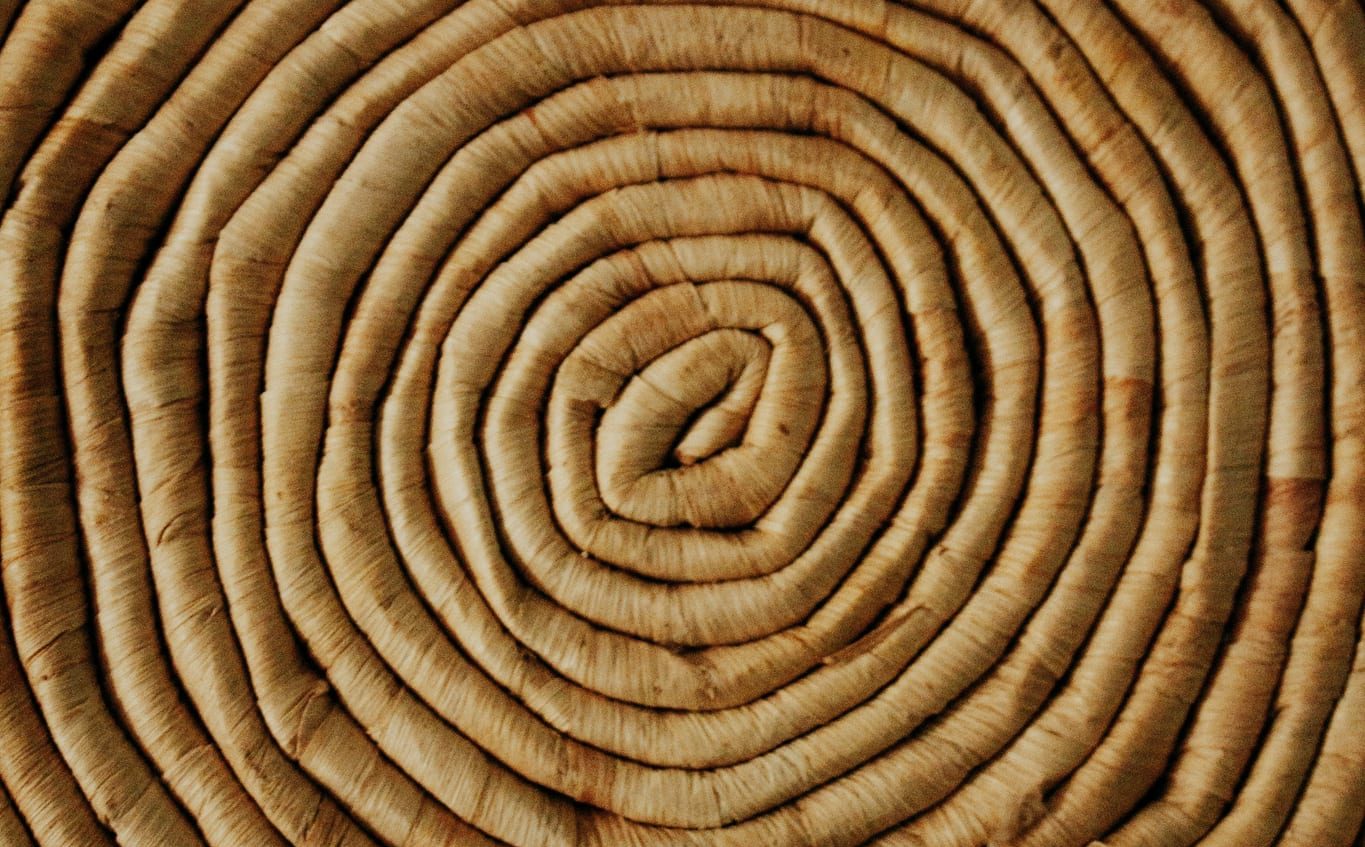 Kalei de leon GiC9VzZzSWI unsplash