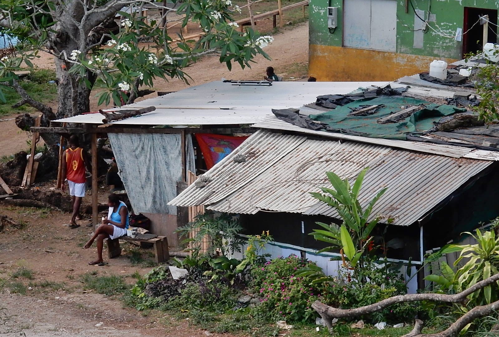 Poverty Under a Frangipani Tree (23228737364)